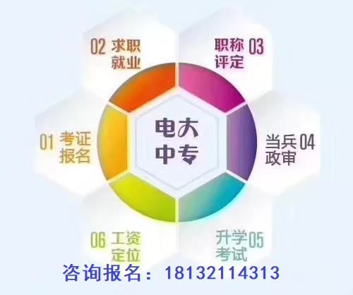 成人一年制电大中专学费多少钱